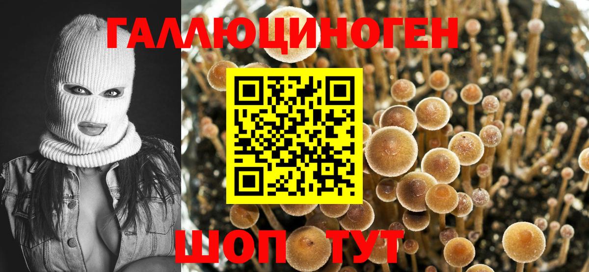 магазин    Галлюциногенные грибы Magic Shrooms  Галлюциногенные грибы MAGIC MUSHROOMS  Вход с VPN  Дивногорск 