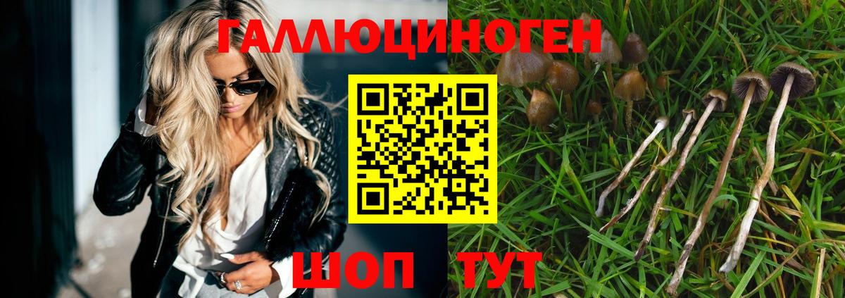 Псилоцибиновые грибы GOLDEN TEACHER Дивногорск